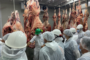 Por crear un cartel del mercado de carne en Caldas, seis empresas recibieron multas por cerca de $7 mil millones. Según la SIC, tenían un pacto para comprar y distribuir subproductos como las vísceras. En la foto, Frigocentro (la Central de Sacrificio de Manizales). La imagen es de referencia.