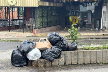 Foto | Cortesía | LA PATRIA  Las basuras son depositadas sobre el separador de la avenida El Libertador, aplastando y asfixiando las plantas que se sembraron allí. 