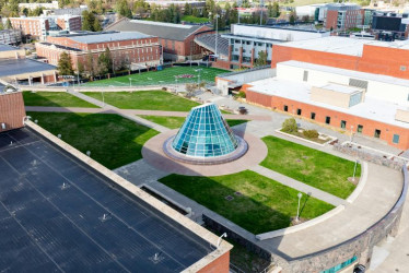 Impulsando productividad en el estudio