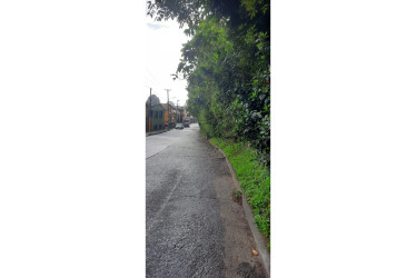 Los árboles que afectan la visibilidad de los conductores.