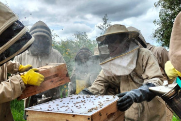 Iniciativa ambiental en zonas rurales, mediante la apicultura sostenible en Manizales