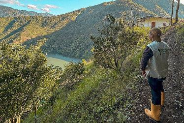 El presidente de la ANT denunció las presiones a sus funcionarios y el temor se extiende a la Dorada.