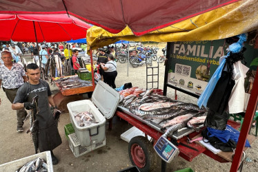 La Dorada (Caldas) es epicentro de la venta del bagre rayado en Colombia.