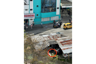 Este era el gallo que estaba al frente de la Clínica Ospedale.