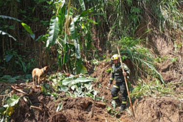 No para la búsqueda del policía 