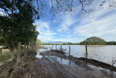 La Jefatura de Gestión del Riesgo de Caldas inspeccionó los daños por la creciente del río Magdalena en la vereda Japón de La Dorada.