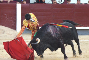 Muletazo de Marco Pérez, quien ayer se fue ovacionado de Las Ventas de Madrid, tras su encerrona en la que no obtuvo trofeos.