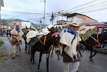 Iniciada en Abejorral (Antioquia) y con destino en Salamina (Caldas), la mulada 'Travesía en Mulas y Arriería Vicente Fermín López Buitrago' llegó este jueves a Aguadas.