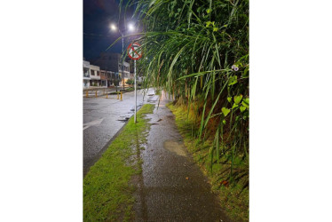 El andén con maleza detrás de la ENAE.