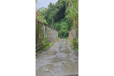 Este es el puente en la vía entre La Manuela y Palestina.