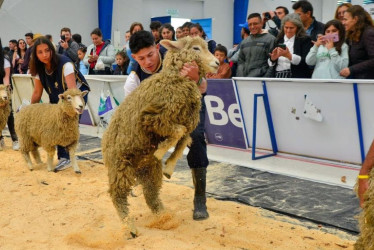  Marulanda participó en Tunja en el Rebaño Fest 2025.