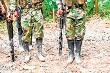 Violencia en el Catatumbo ya deja 117 muertos.