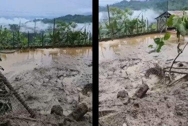 Canchas de la sede Los Sauces, de la Institución Educativa Río Verde Bajo de Buenavista afectadas por deslizamiento.