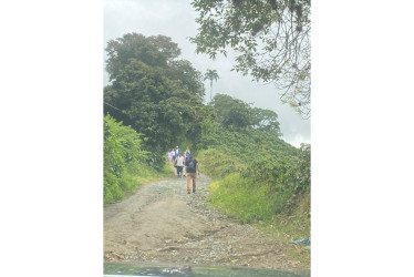 Así se encuentra la vía de la vereda La Pola.