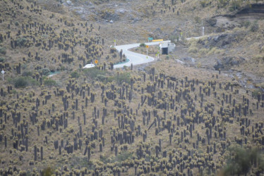 Vía Manizales - Murillo
