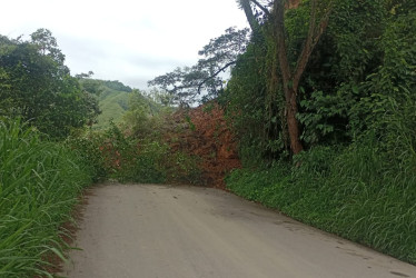 Los cierres en la vía Arma - La Pintada son constantes, tanto por los derrumbes que se producen en el trayecto como por las obras de mejoramiento que se adelantan en la ruta.