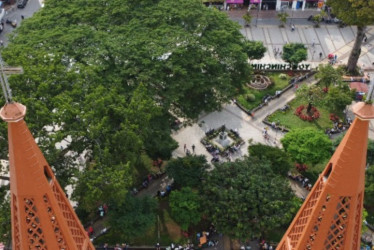 En el parque principal de Chinchiná están situadas las especies. 