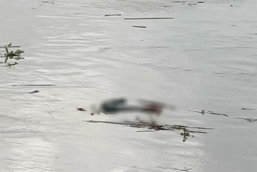El 1 de mayo la comunidad de Caimalito y La Virginia registraron el paso de un cadáver flotando en el río Cauca. Las autoridades no lo encontraron 