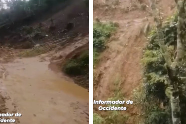 El derrumbe en una vereda del Occidente de Caldas tendrá que esperar hasta que las lluvias se vayan para ser intervenido por completo. La atención de un árbol caído está a la espera.