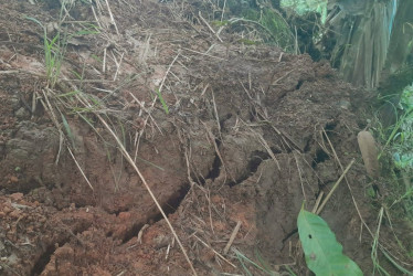 La temporada de lluvias mantiene la zozobra en la Parcialidad Indígena Ansea, ubicada en el Occidente de Caldas. "Es imposible conciliar el sueño con una falla geológica que puede generar una tragedia".