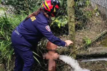 Los bomberos son las personas capacitadas para manipular este tipo de equipos de la ciudad. 