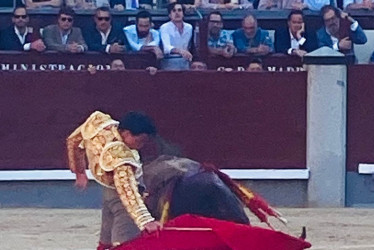 El torero colombiano Juan de Castilla en templado derechazo ante el toro de Dolores Aguirre que le hirió.
