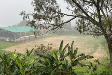 Cinco veredas están afectadas por derrumbes en un municipio del Occidente de Caldas. La Alcaldía atiende las zonas con maquinaria amarilla. Hay 25 vías cerradas o restringidas en Caldas este jueves (8 de mayo).