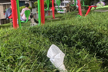 Foto | LA PATRIA  Para contrarrestar la cantidad de desechos de los perros que se encuentran en los parques, hay quienes colocan carteles solicitando a los dueños de las mascotas recoger lo que sus animales hagan.