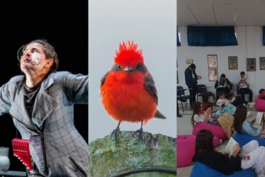 Foto | Cortesía | LA PATRIA   Programación cultural del 9 al 12 de mayo en Manizales.