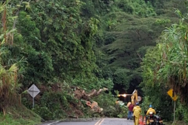 Derrumbe en La Trinidad, en la vía Manizales - Medellín