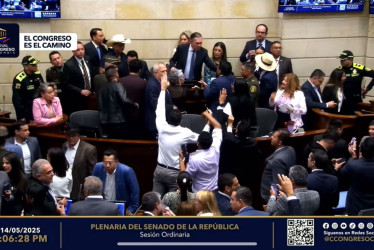 Consulta popular del presidente Petro se hunde en el Senado