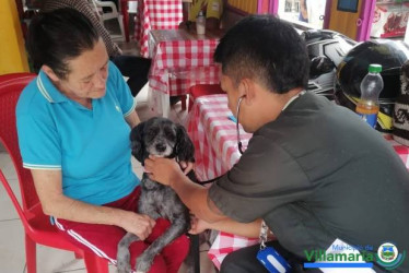 En este municipio llevaron a cabo actividades ante una posible alerta por moquillo. En otra localidad abren una escombrera y en una más desarrollan licitaciones dirigidas a obras en tránsito municipal y a subsidio estudiantil.