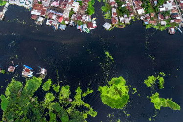 Hasta finales de mayo, en Ecuador se habían decomisado más de 72 toneladas de drogas, la mayoría de ellas cocaína, según cifras del Ministerio del Interior.