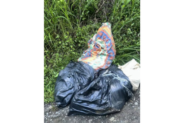 El hallazgo ocurrió en el barrio José Hilario López de Pereira. Ya se han reportado varios casos similares este año.