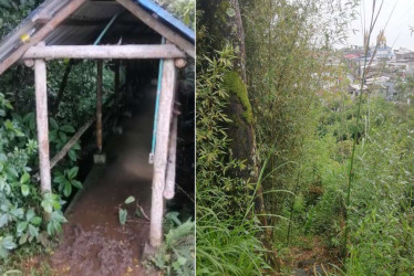 La maleza ha tapado los caminos del ecoparque Los Palenques, en Samaná (Caldas).