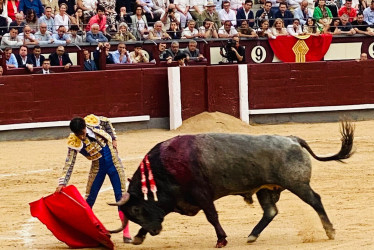 Derechazo de Gómez del Pilar al buen quinto toro de la tarde, al que le cortó oreja este martes en Las Ventas de Madrid.