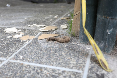 Así está la situación en la calle 46 con lo que dejan los habitantes de calle. 