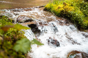 Industria Licorera de Caldas