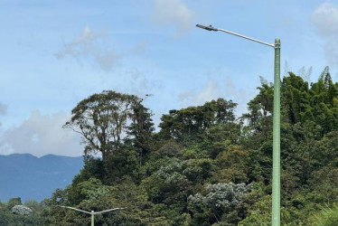CALDAS: ¿En que quedó la iluminación de la Panamericana), construyen un nuevo CAI y mantemiento a escenarios deportivos, entre otras noticias