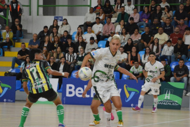 Universidad de Manizales