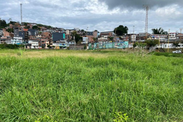 Lote de Anserma (Caldas) en donde se construirá la Sede Agroindustrial de la Universidad de Caldas. 