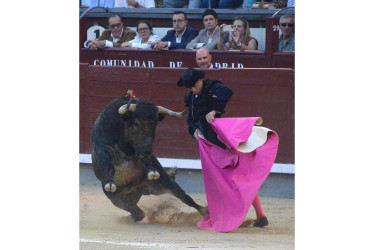 Así fue la tarde de este sábado en Las Ventas para los toreros. Al final, Manuel Escribano recibió ovaciones de los asistentes.