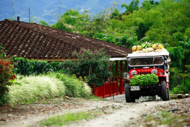 Protección infantil y seguridad: prioridades del Quindío para esta temporada