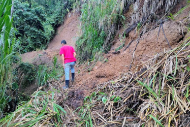 Desempolvan las necesidades viales: en la Ciudad Luz de Caldas, la inquietud se centra en las carreteras. Exigen mejorar los caminos rurales. La Gobernación prometió atender las peticiones.