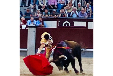 Muletazo de Samuel Navalón al sexto de la tarde. El torero valenciano se fue entre palmas de los espectadores.
