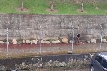 Así se vio el color rojo en la quebrada Minitas a un costado de Aguas de Manizales. 