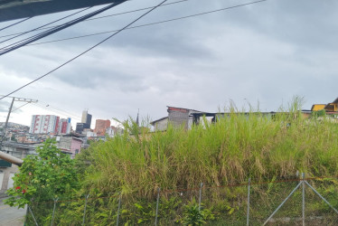 Este es el terreno que la comunidad pide que sea intervenido.