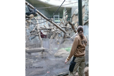  Imagen del 2024 del Zoo Frankfurt. 