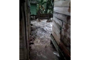 Una creciente súbita afectó a las viviendas de la vereda El Palo de Risaralda (Caldas). 