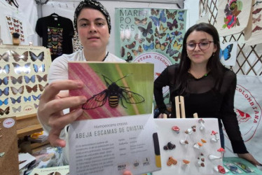 María Monsalve muestra el libro que publicaron con la editorial Matiz, de Manizales, sobre mariposas y polillas. 